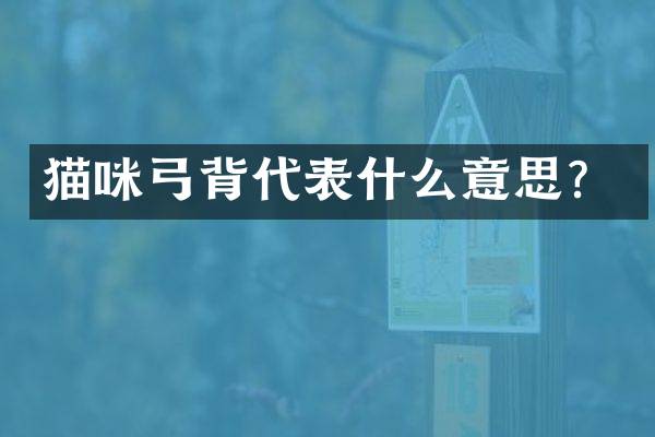 猫咪弓背代表什么意思？