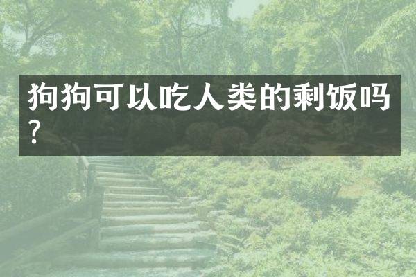 狗狗可以吃人类的剩饭吗？