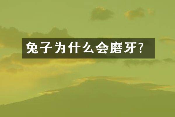 兔子为什么会磨牙？