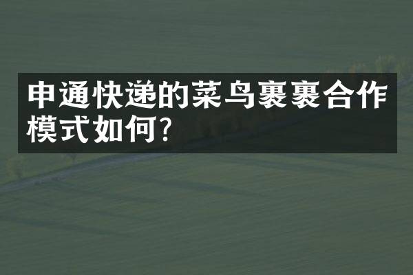 申通快递的菜鸟裹裹合作模式如何？