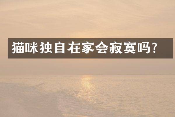 猫咪独自在家会寂寞吗？