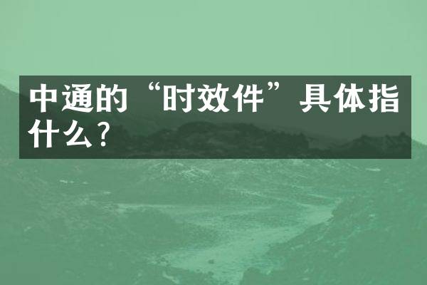 中通的“时效件”具体指什么？