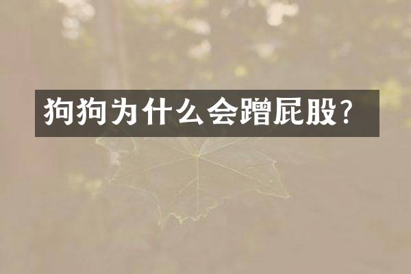 狗狗为什么会蹭屁股？