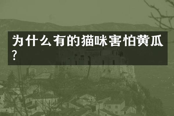 为什么有的猫咪害怕黄瓜？