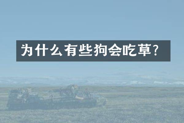 为什么有些狗会吃草？
