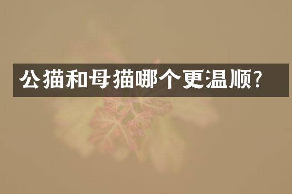公猫和母猫哪个更温顺？