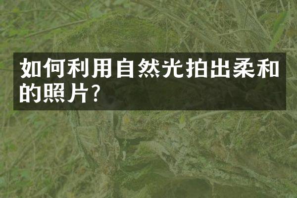 如何利用自然光拍出柔和的照片？
