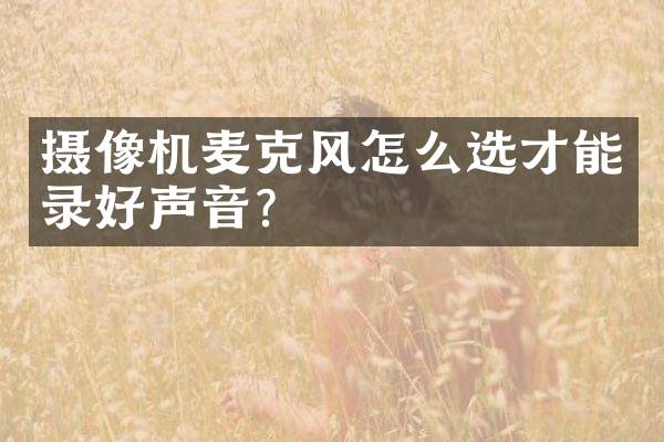 摄像机麦克风怎么选才能录好声音？