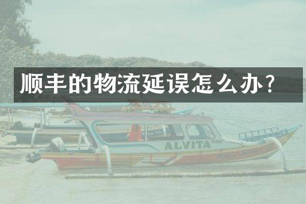 顺丰的物流延误怎么办？