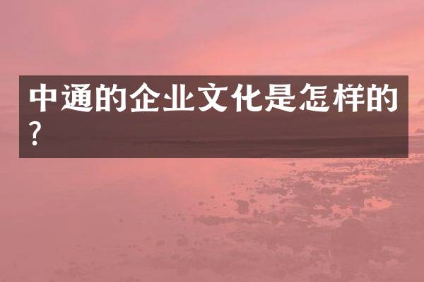 中通的企业文化是怎样的？