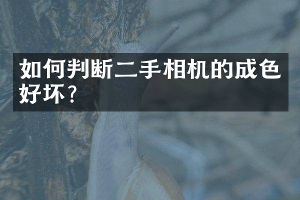 如何判断二手相机的成色好坏？