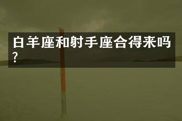 白羊座和射手座合得来吗？