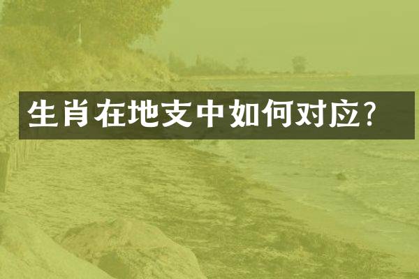 生肖在地支中如何对应？