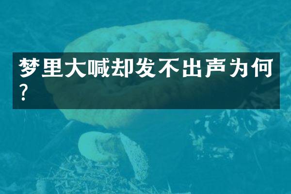 梦里大喊却发不出声为何？