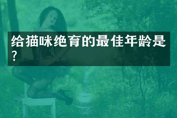 给猫咪绝育的最佳年龄是？