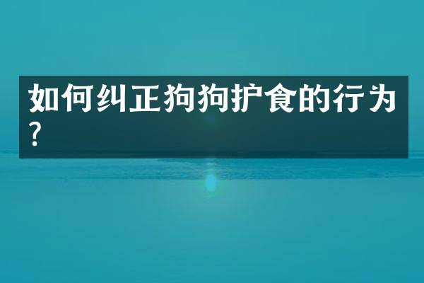 如何纠正狗狗护食的行为？