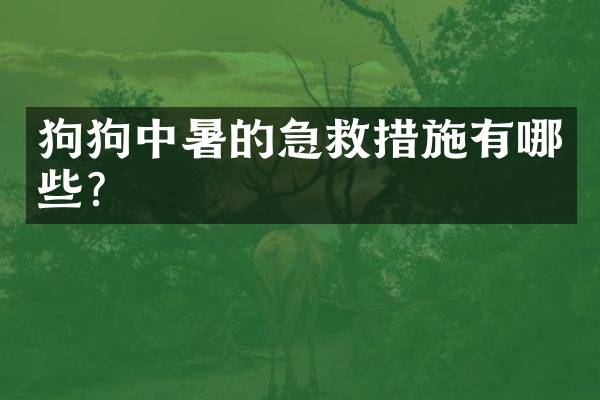 狗狗中暑的急救措施有哪些？