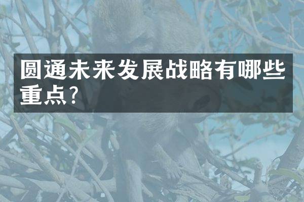 圆通未来发展战略有哪些重点？