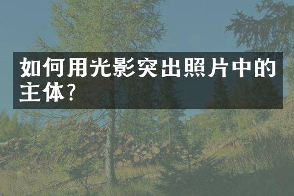 如何用光影突出照片中的主体？