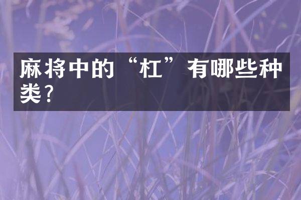 麻将中的“杠”有哪些种类？