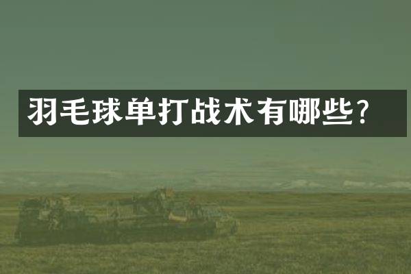 羽毛球单打战术有哪些？