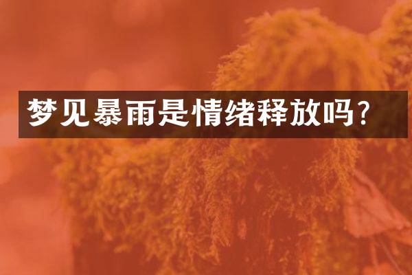 梦见暴雨是情绪释放吗？