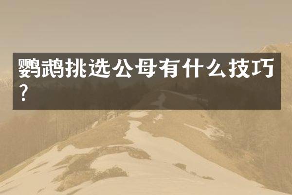 鹦鹉挑选公母有什么技巧？