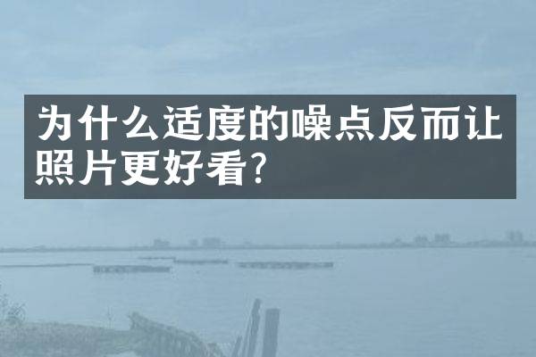 为什么适度的噪点反而让照片更好看？