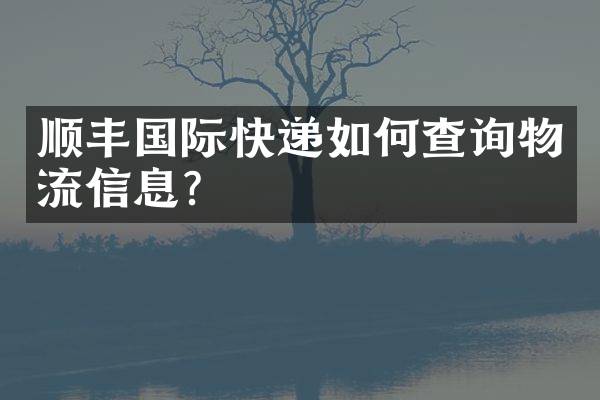 顺丰国际快递如何查询物流信息？