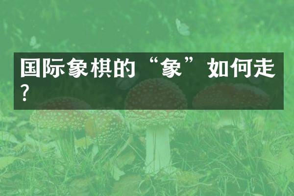 国际象棋的“象”如何走？