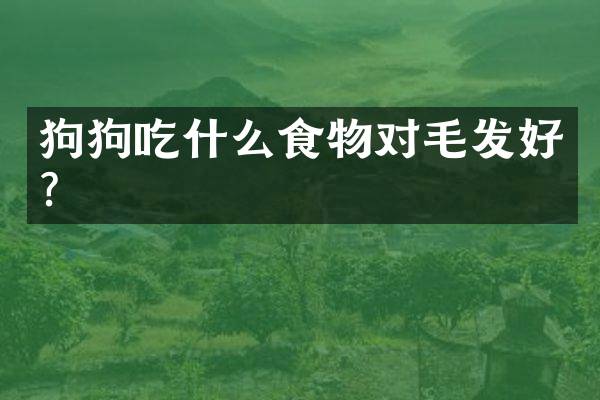 狗狗吃什么食物对毛发好？