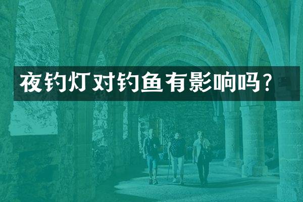 夜钓灯对钓鱼有影响吗？