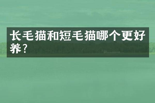 长毛猫和短毛猫哪个更好养？