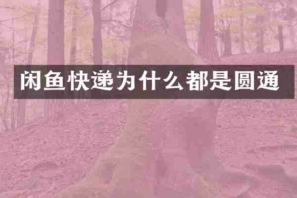 闲鱼快递为什么都是圆通