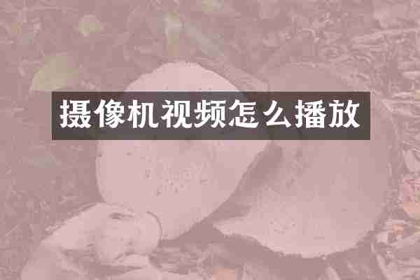 摄像机视频怎么播放