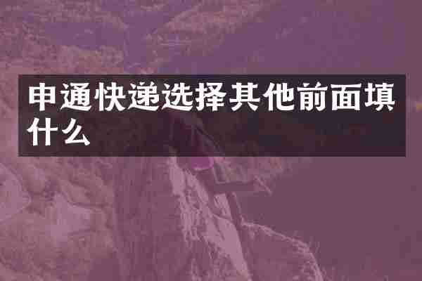 申通快递选择其他前面填什么
