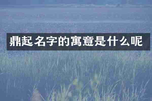 鼎起名字的寓意是什么呢