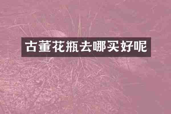 古董花瓶去哪买好呢