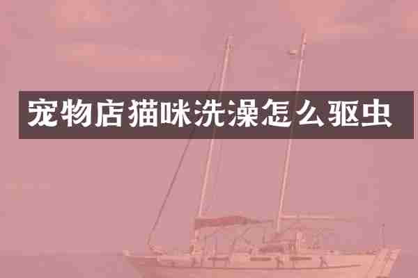 宠物店猫咪洗澡怎么驱虫