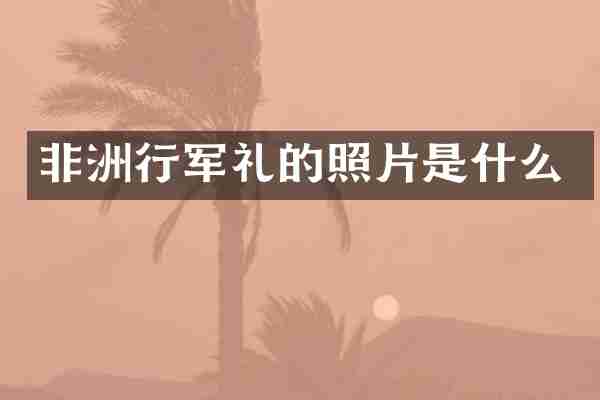 非洲行军礼的照片是什么