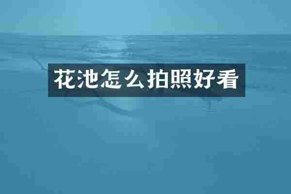 花池怎么拍照好看