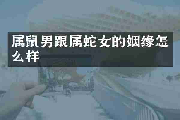 属鼠男跟属蛇女的姻缘怎么样