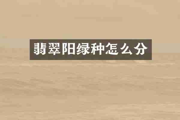 翡翠阳绿种怎么分