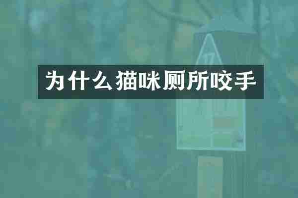 为什么猫咪厕所咬手