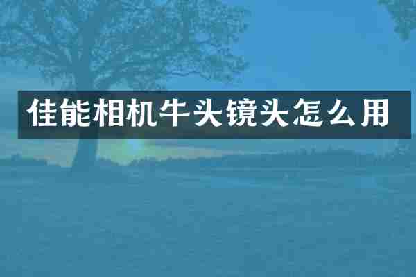 佳能相机牛头镜头怎么用