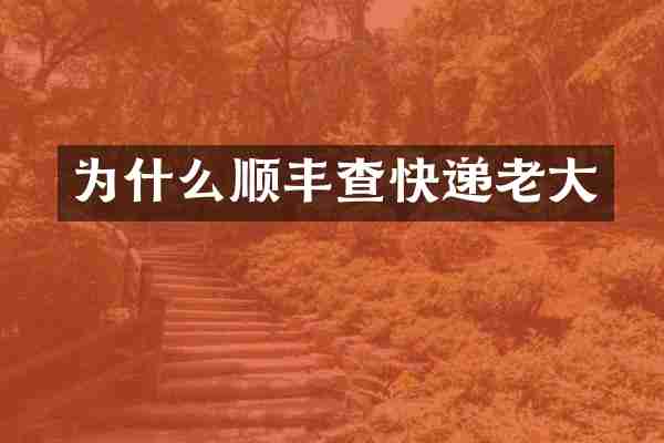 为什么顺丰查快递老大