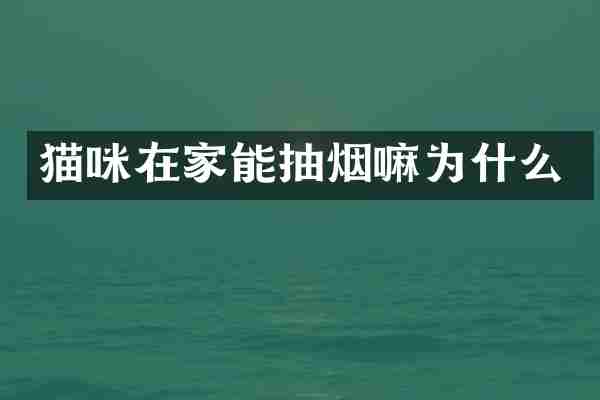 猫咪在家能抽烟嘛为什么