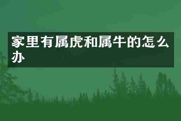 家里有属虎和属牛的怎么办