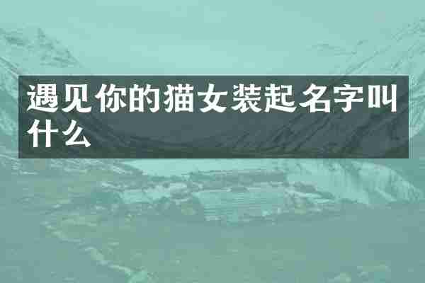 遇见你的猫女装起名字叫什么