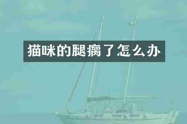 猫咪的腿瘸了怎么办